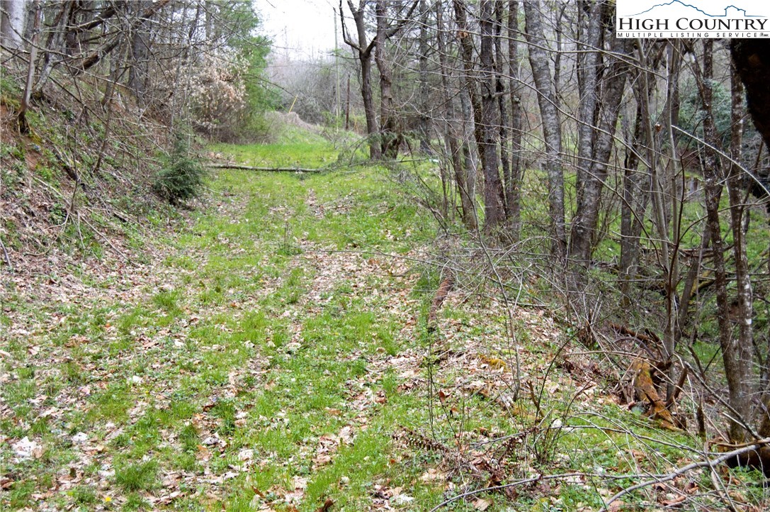 Ridge Road Boone, NC 28607 - Photo 11 of 12 Gallery Image 11