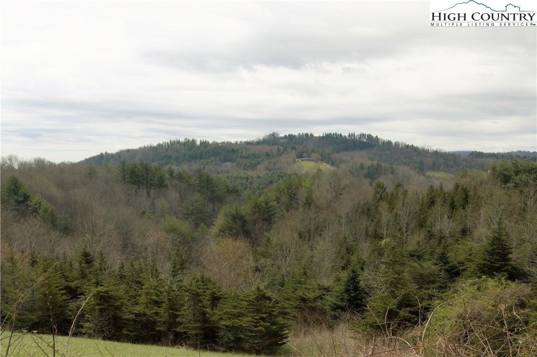 Ridge Road Boone, NC 28607 - Photo 2 of 12 Gallery Image 2