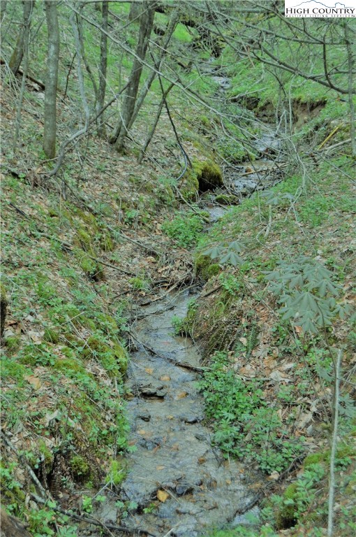 Ridge Road Boone, NC 28607 - Photo 4 of 12 Gallery Image 4