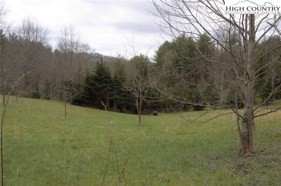Ridge Road Boone, NC 28607 - Photo 6 of 12 Gallery Image 6