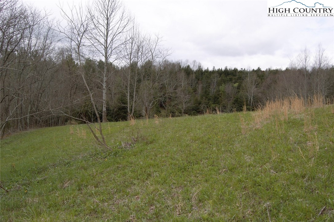 Ridge Road Boone, NC 28607 - Photo 8 of 12 Gallery Image 8