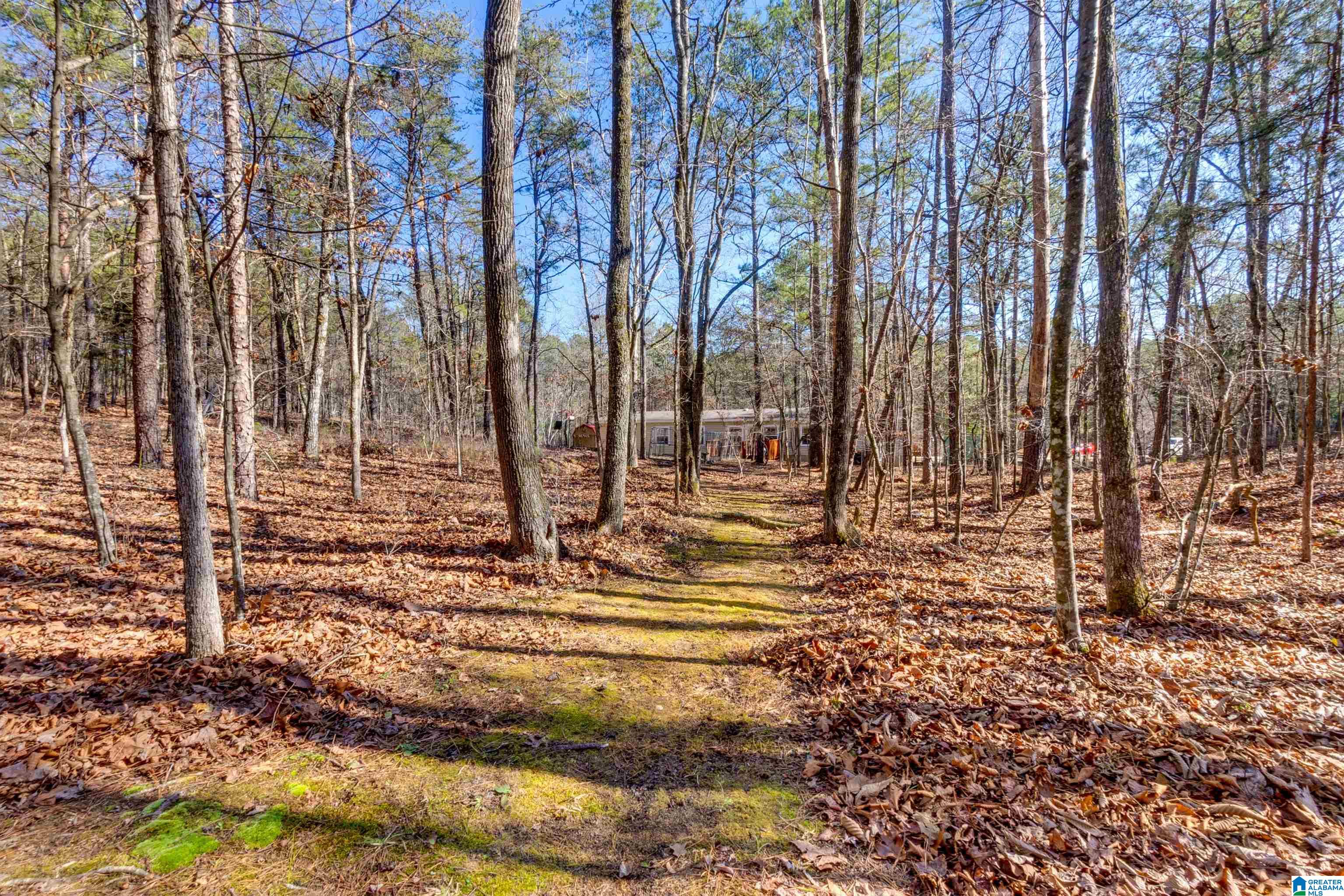 900 County Road 772 Montevallo, AL 35115 - Photo 46 of 58