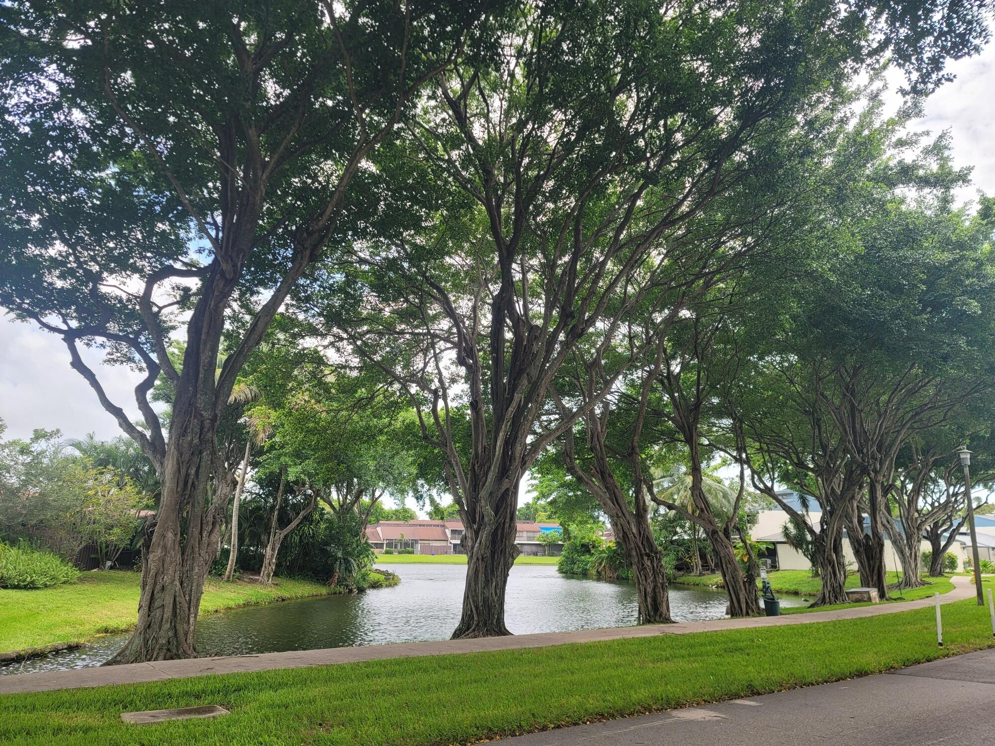 4049 Southwest 68th Way, Unit 6I Miramar, FL 33023 - Photo 2 of 32 a view of a trees