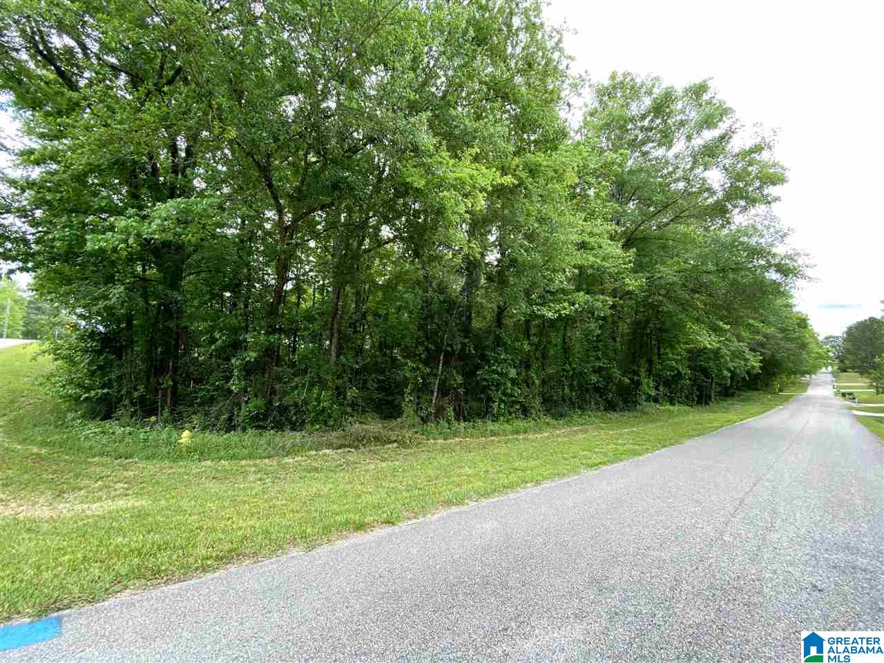 0 2nd Avenue, Unit 95 Calera, AL 35040 - Photo 2 of 6