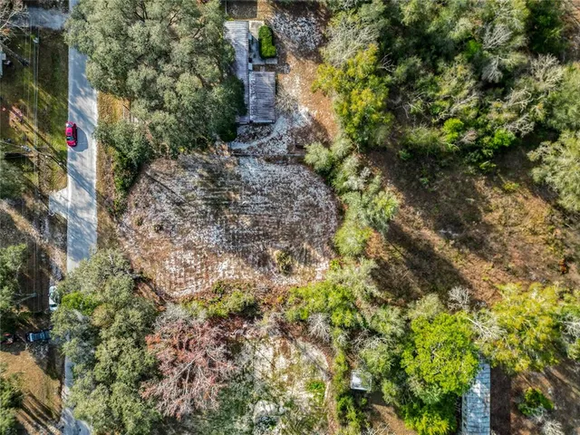 a view of a forest with a street