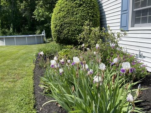 114 Downing Road Kennebunk, ME 04043 - Photo 31 of 50 C87AFA41-29AC-4DB8-B479-1C3692680A64_4_5