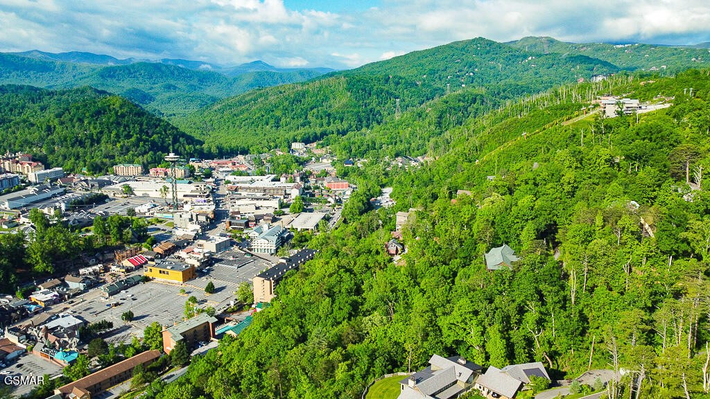 6 Smoky View Road Gatlinburg, TN 37738 - Photo 17 of 21 Gallery Image 17