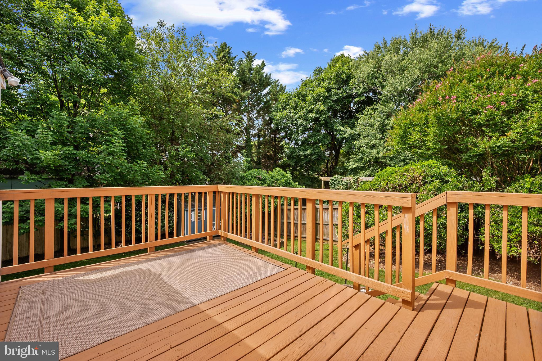 2110 Dayton Street Silver Spring, MD 20902 - Photo 44 of 54 large deck for entertaining