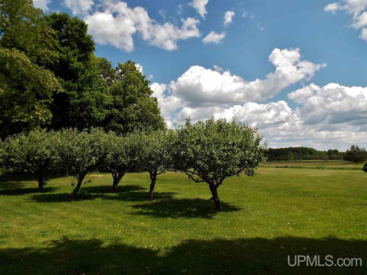1160 North Co Road Cooks, MI 49817 - Photo 25 of 49