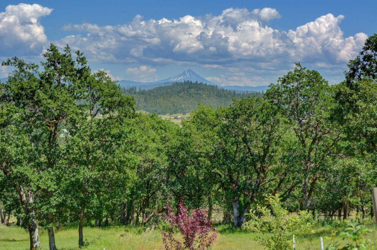 15987 Jones Road White City, OR 97503 - Photo 2 of 22 Additional Photo