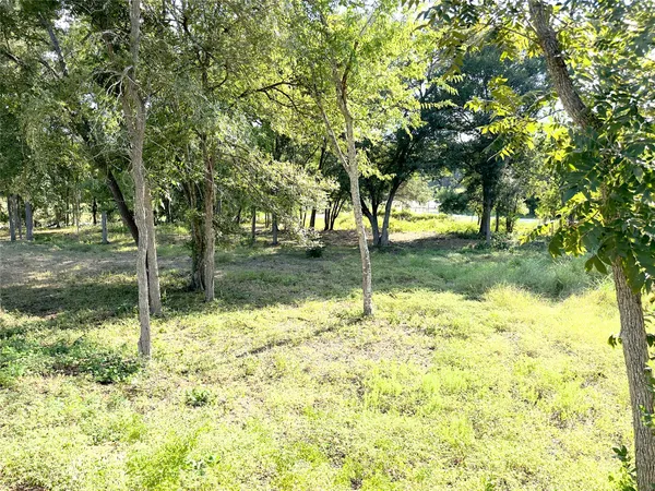 a backyard of a house with lots of plants and tree