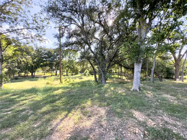 a view of yard with trees