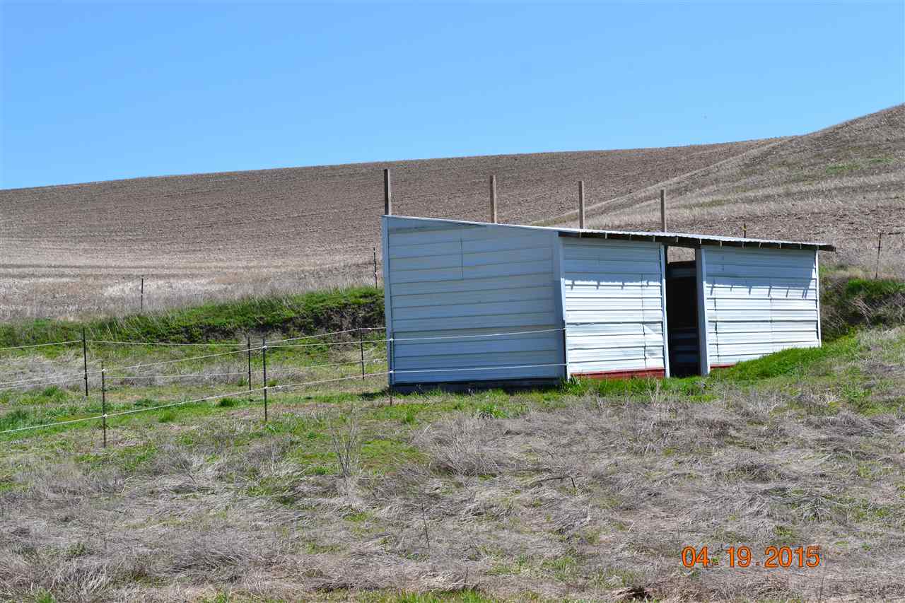 1212 West Babb Road Rosalia, WA 99170 - Photo 19 of 20