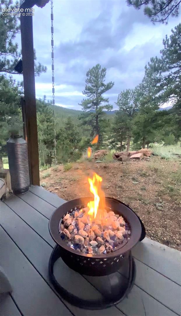 226 Hall Road Bailey, CO 80421 - Photo 6 of 37 Gallery Image 6
