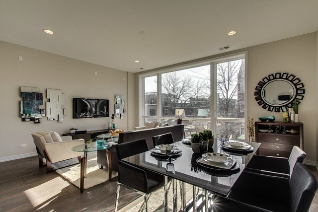 1033 South Racine Avenue, Unit 1N Chicago, IL 60607 - Photo 3 of 17