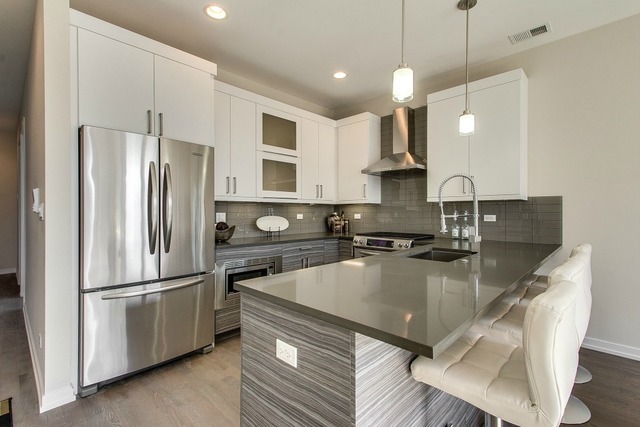 1033 South Racine Avenue, Unit 1N Chicago, IL 60607 - Photo 5 of 17