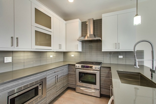 1033 South Racine Avenue, Unit 1N Chicago, IL 60607 - Photo 6 of 17