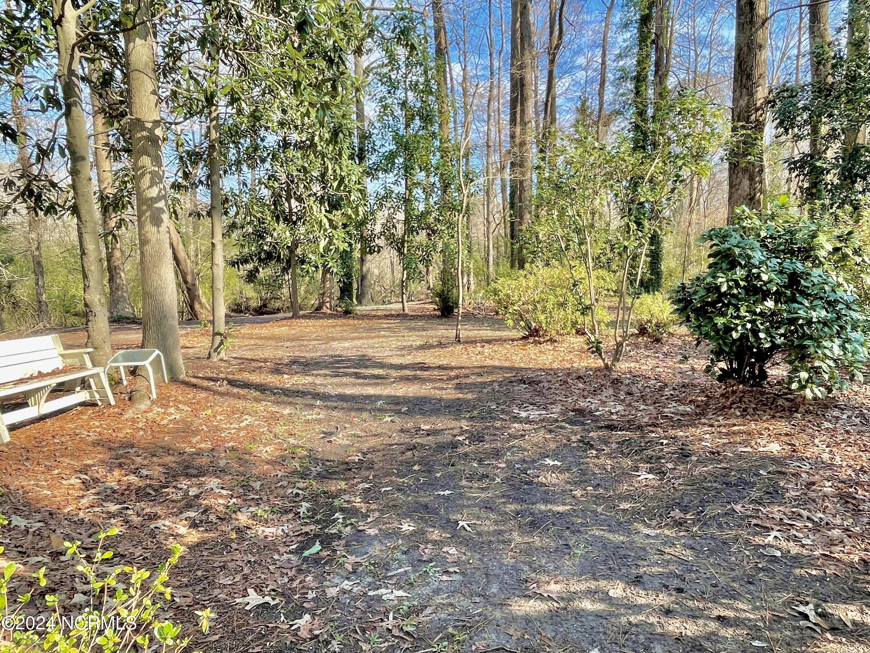 310 Golf Road Plymouth, NC 27962 - Photo 7 of 69 Trails