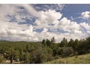 1555 Range Road Prescott, AZ 86303 - Photo 2 of 2 Additional Photo