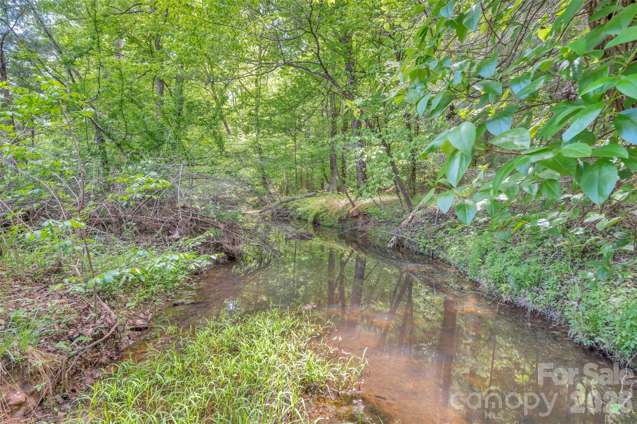 1958 Boyd Road Blackstock, SC 29014 - Photo 12 of 42