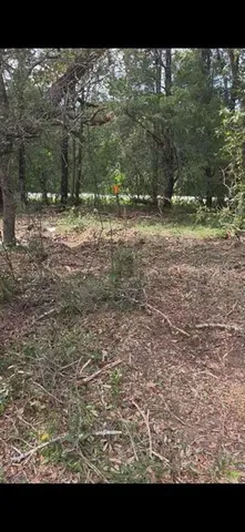 $199,000 | 112 Southeast Se Place, Ocklawaha, FL 32179