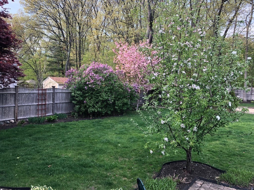 23 Hanford Road Stoneham, MA 02180 - Photo 33 of 35