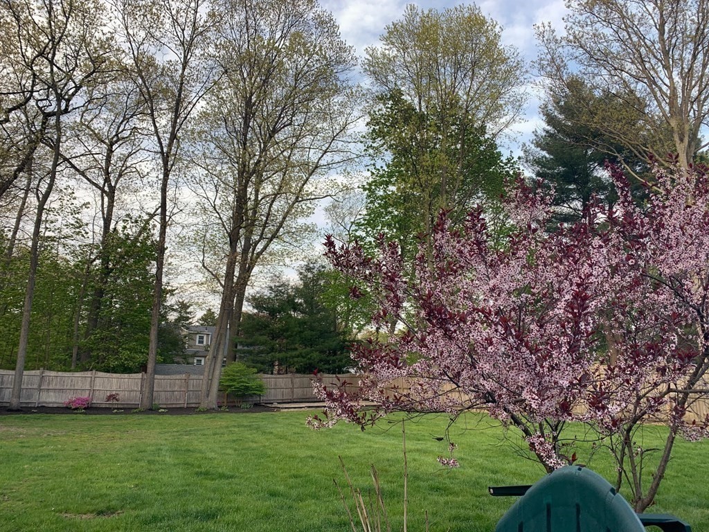 23 Hanford Road Stoneham, MA 02180 - Photo 35 of 35