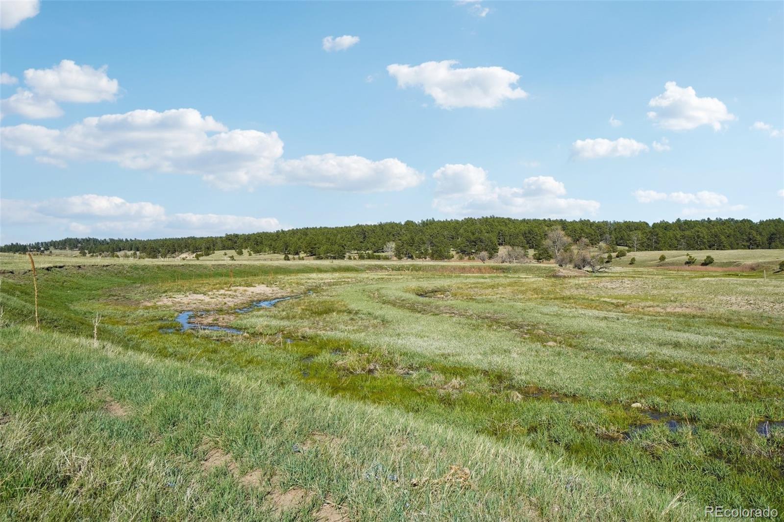 102 County Road Elbert, CO 80106 - Photo 14 of 37