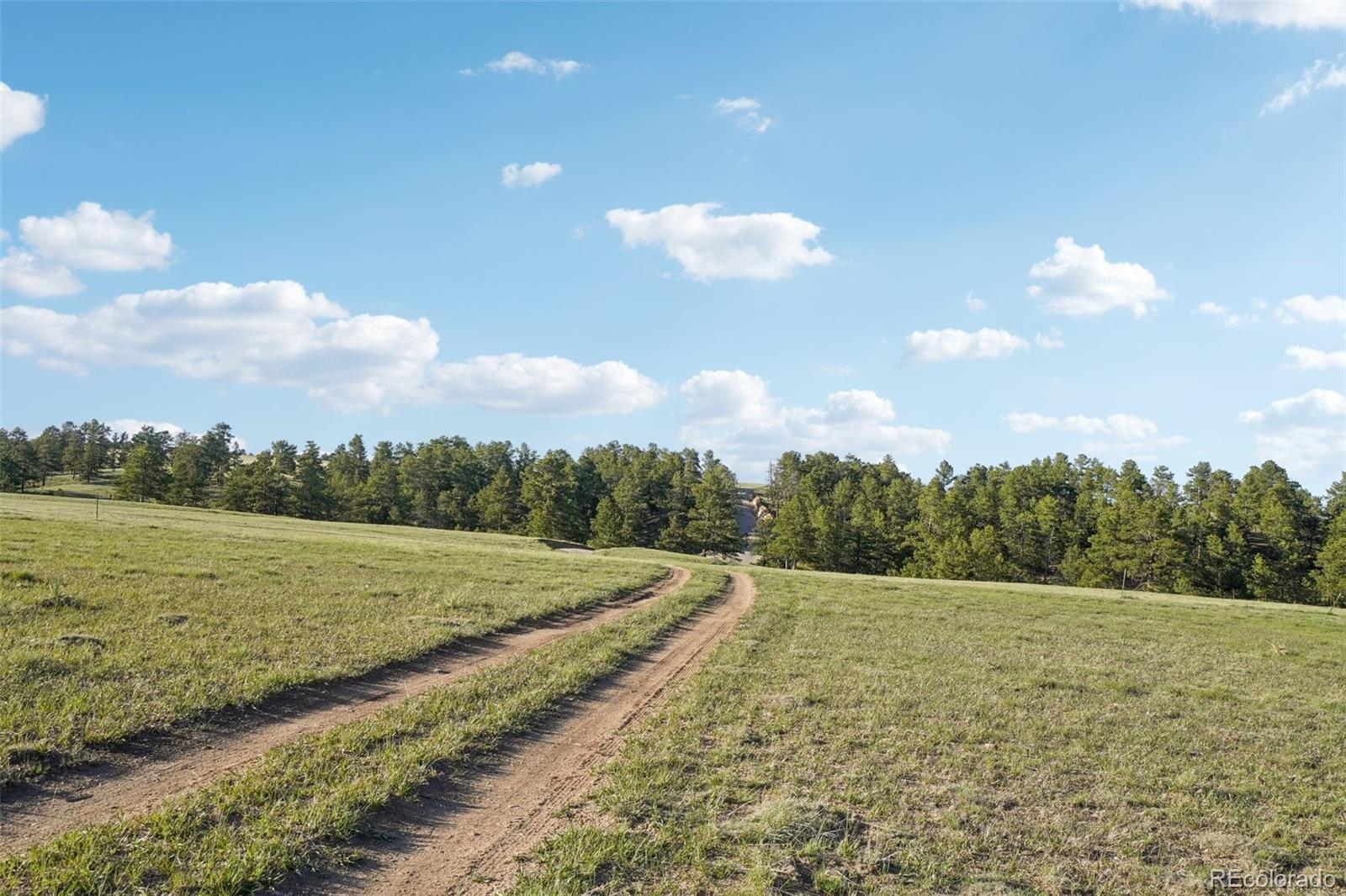 102 County Road Elbert, CO 80106 - Photo 17 of 37 a view of a yard and mountain