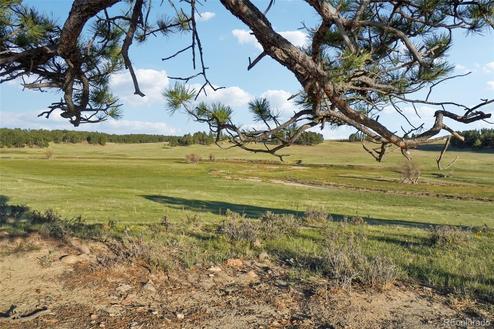 102 County Road Elbert, CO 80106 - Photo 29 of 37 a view of a lake with a mountain