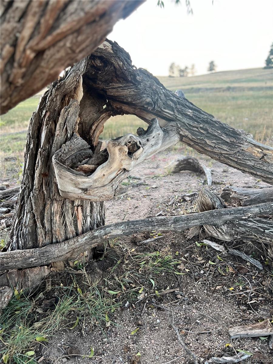 102 County Road Elbert, CO 80106 - Photo 33 of 37 a view of a backyard of the ocean