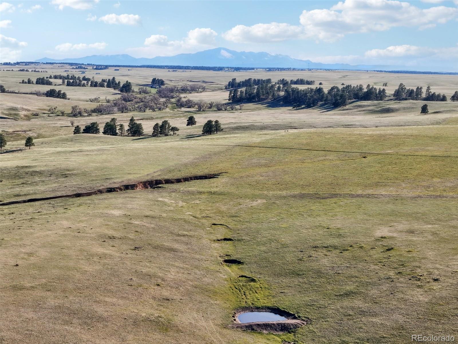 102 County Road Elbert, CO 80106 - Photo 8 of 37