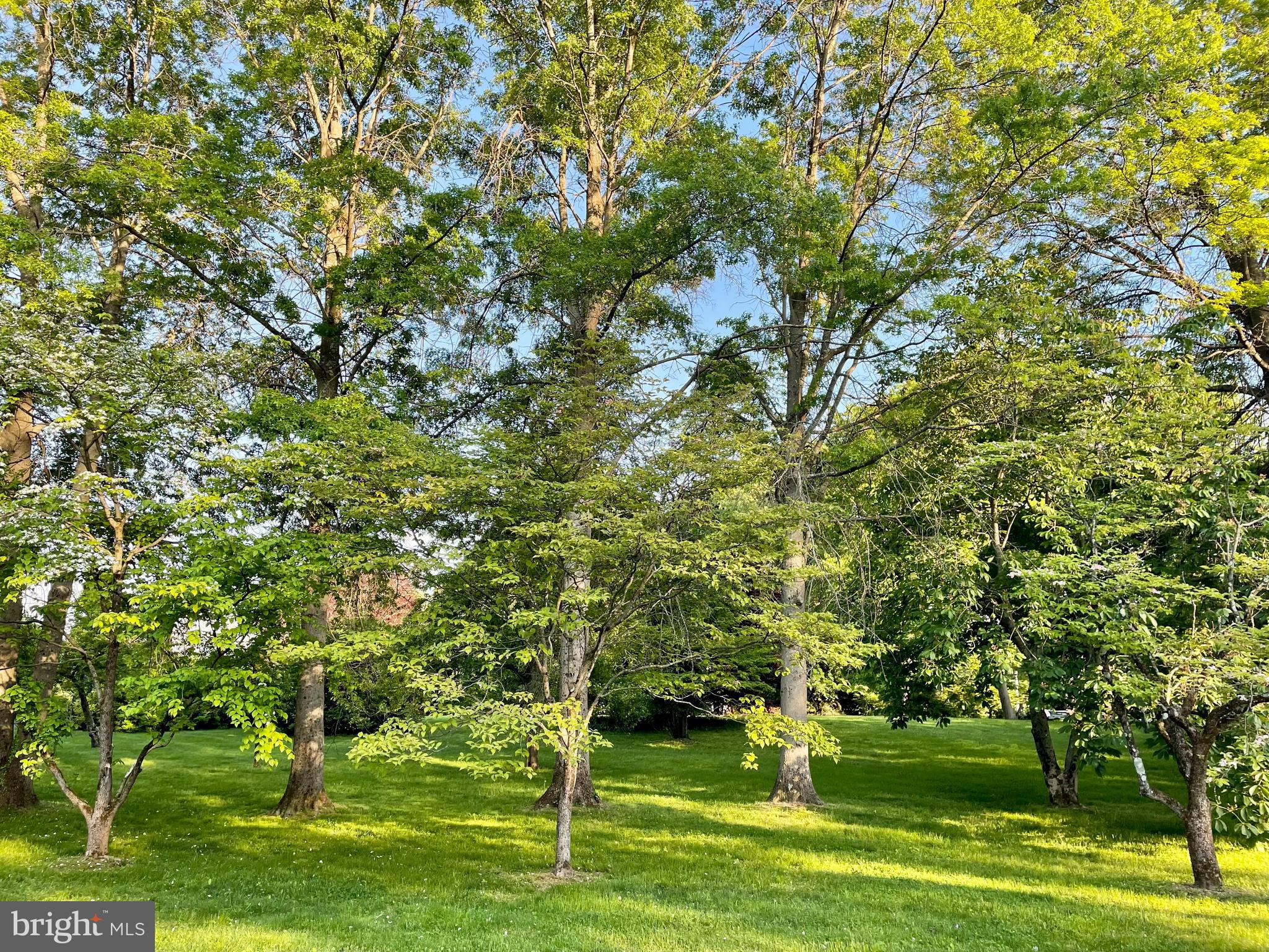 6171 Lower York Road New Hope, PA 18938 - Photo 26 of 39 Beautiful Grounds front lawn