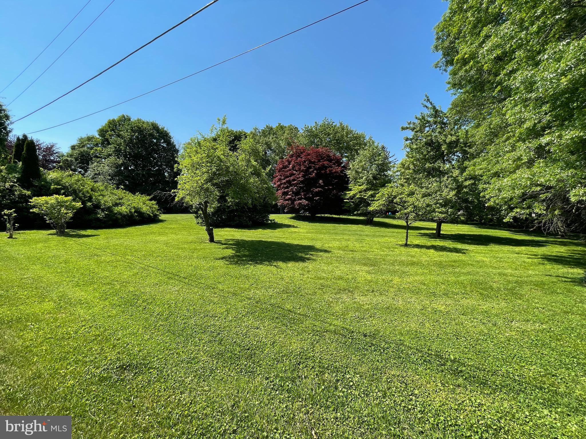 6171 Lower York Road New Hope, PA 18938 - Photo 27 of 39 Front Lot With Apple Pear & Peach Trees