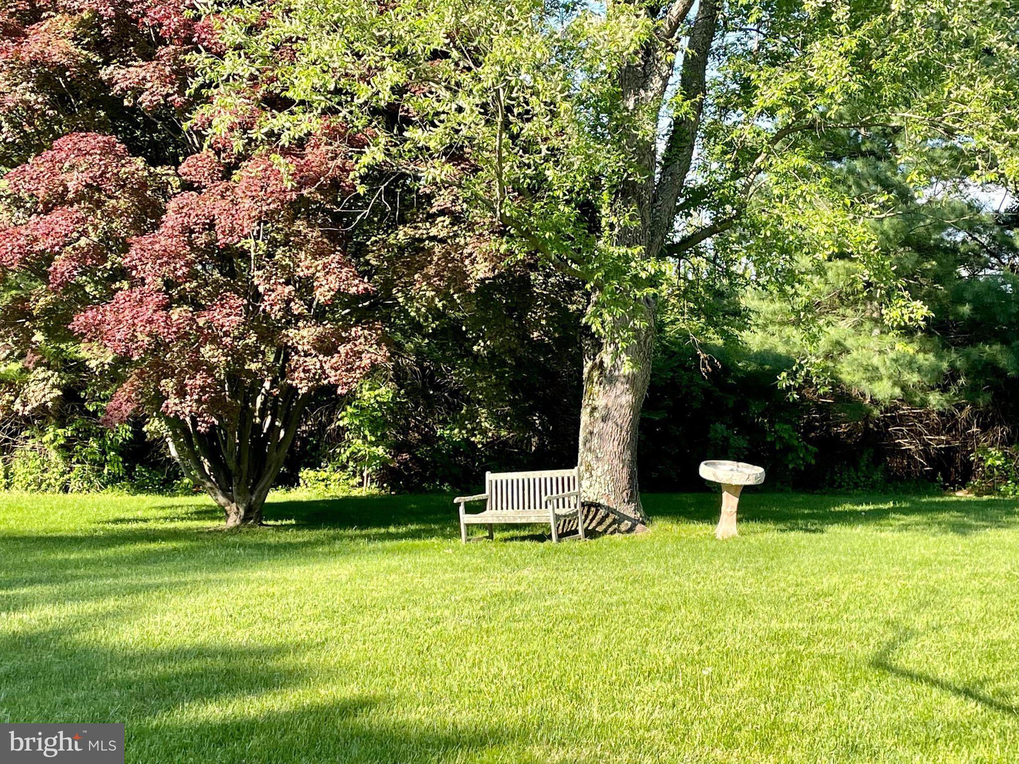Beautiful Grounds