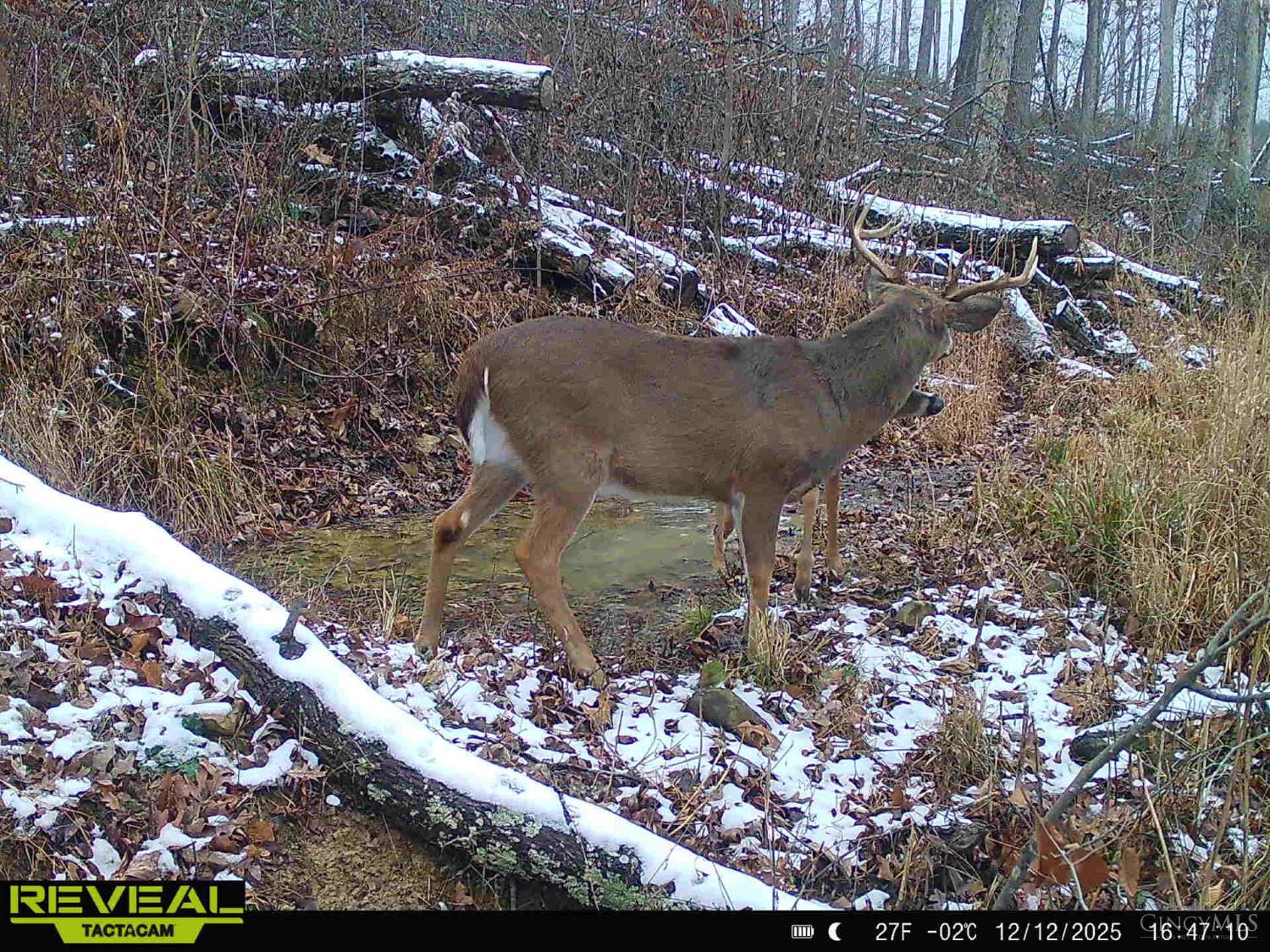 Ac Beech Fork Road Peebles, OH 45660 - Photo 35 of 49