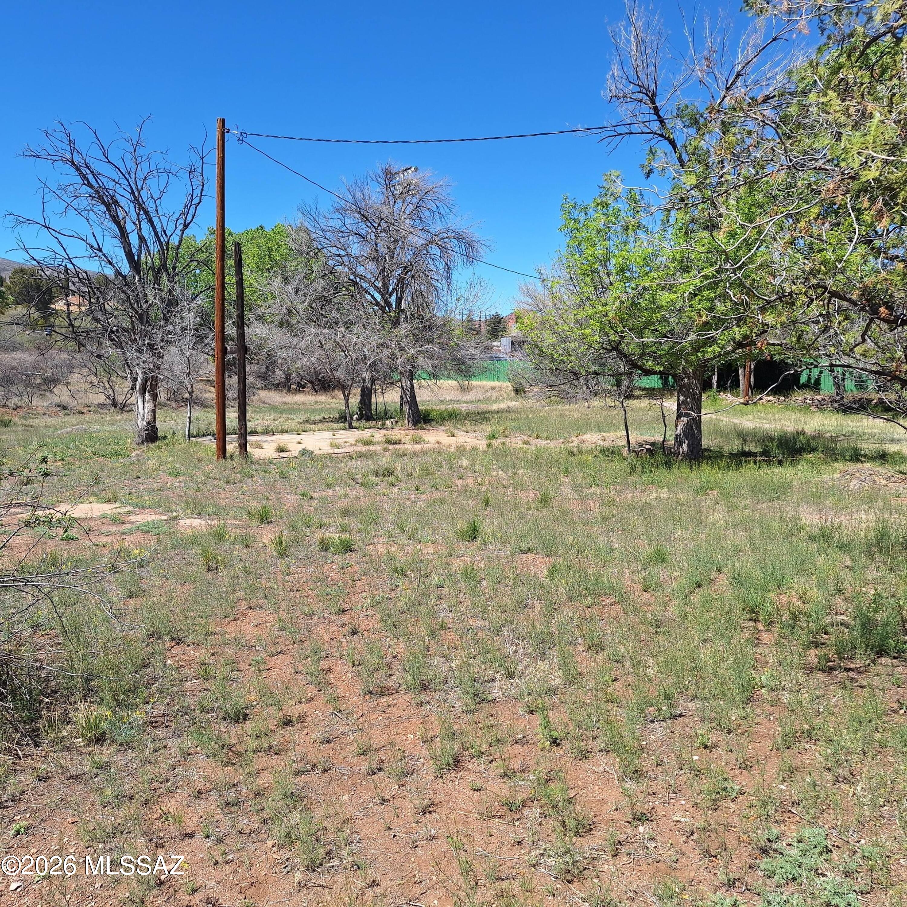 3 Arizona Street Bisbee, AZ 85603 - Photo 8 of 13 a view of a yard with a tree