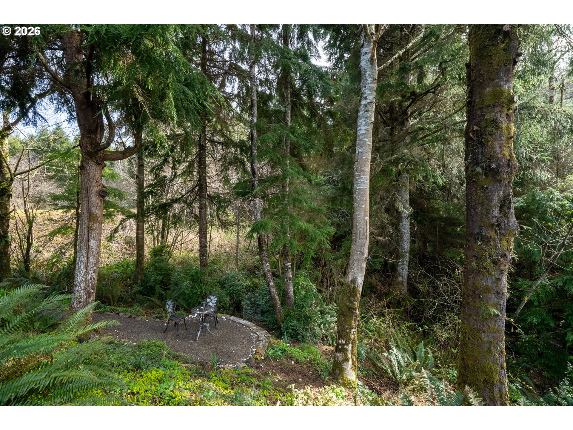 1055 Phelps Street Tillamook, OR 97141 - Photo 32 of 40 a view of outdoor space and yard