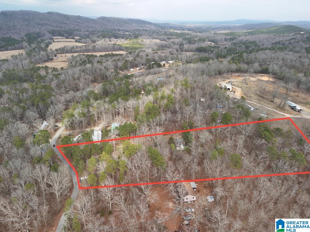 130 Evergreen Drive Springville, AL 35146 - Photo 13 of 20