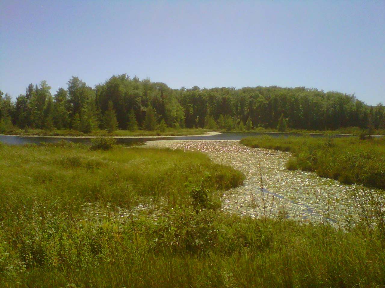 Lot 29 Gemstone Road Presque Isle, WI 54557 - Photo 4 of 12 Gallery Image 4