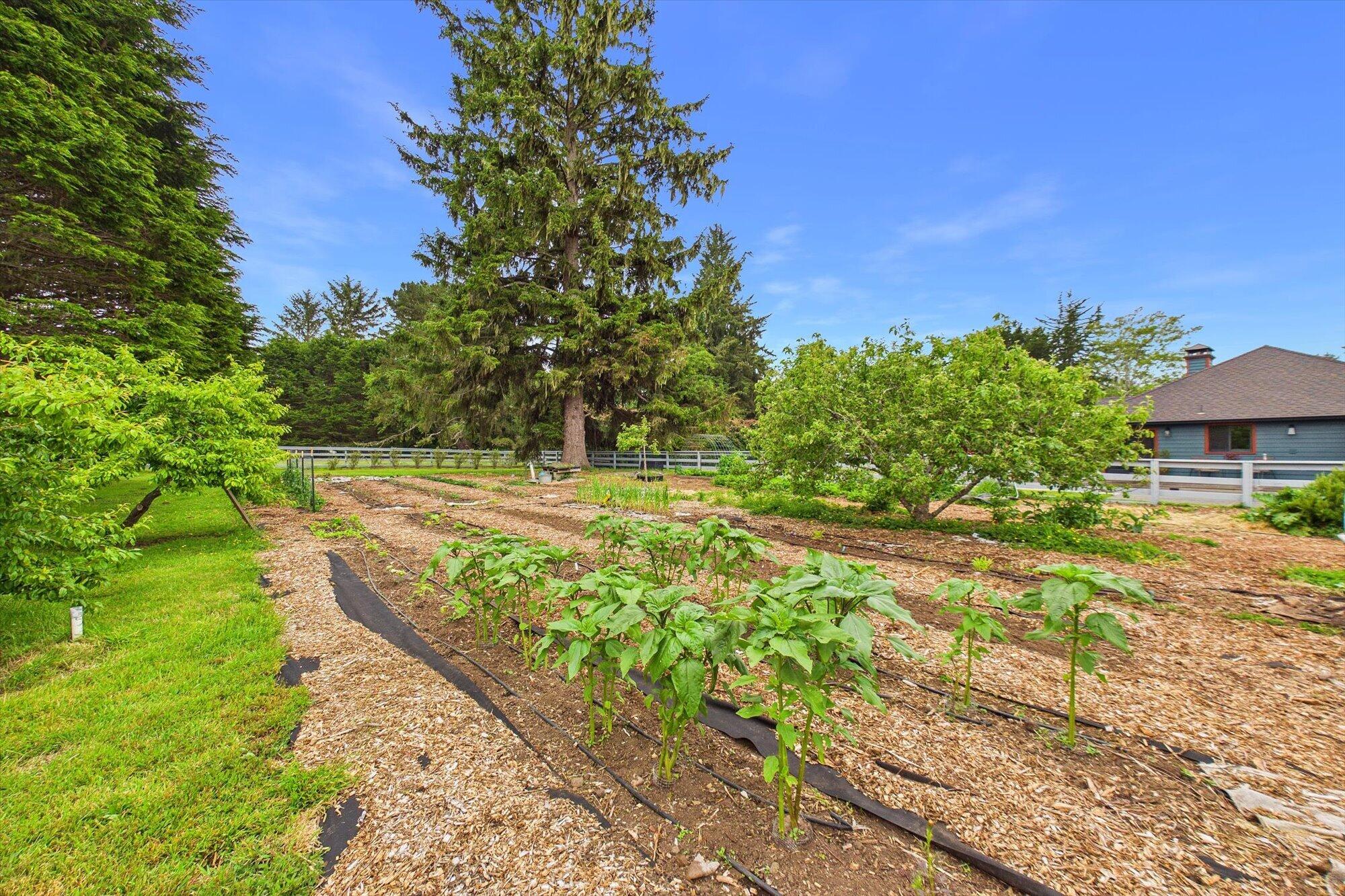 1300 Clam Beach Road McKinleyville, CA 95519 - Photo 97 of 116