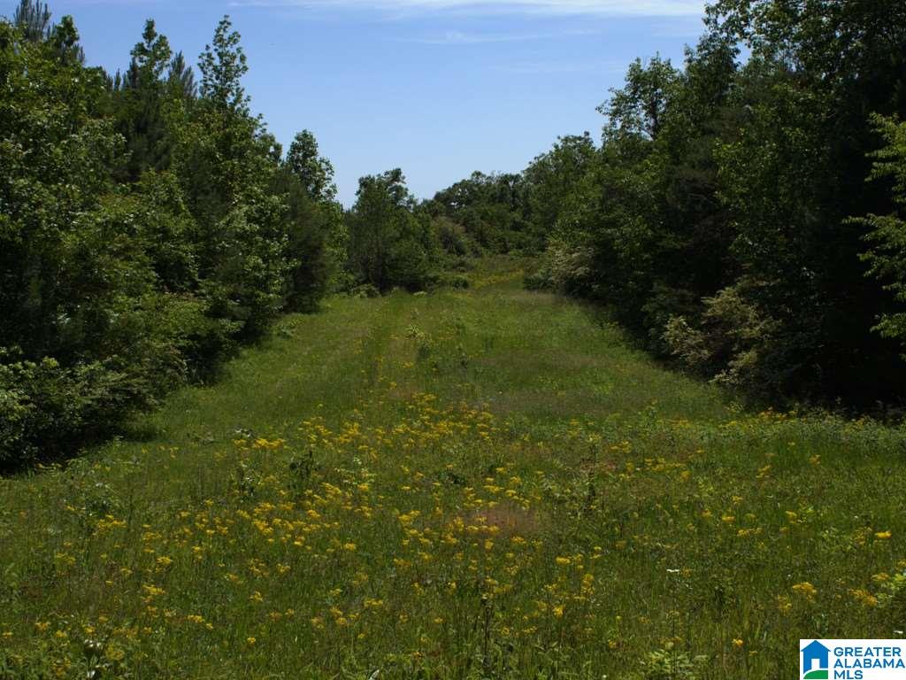 46 County Rd Creek, Unit PEWTERFORK Hanceville, AL 35077 - Photo 13 of 13