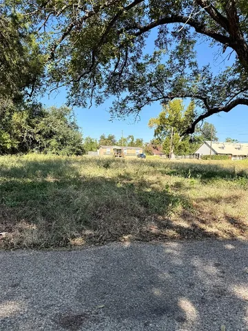 a view of a yard with a tree