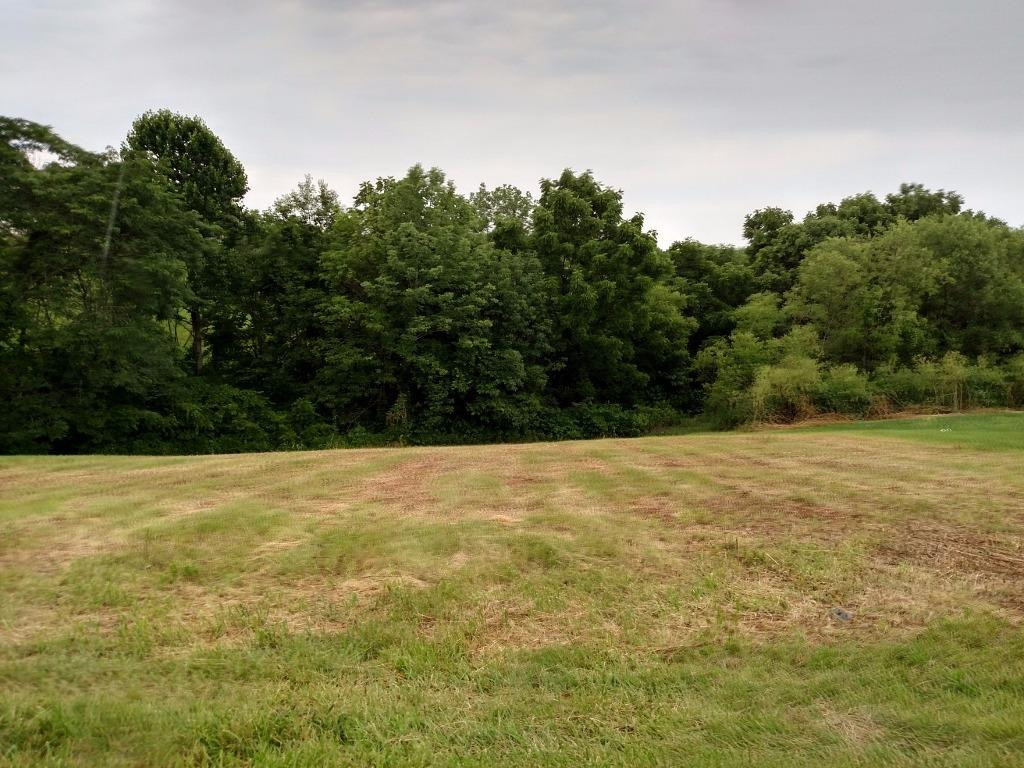 0 Hogg Ridge Road Falmouth, KY 41040 - Photo 1 of 1 Gallery Image 1