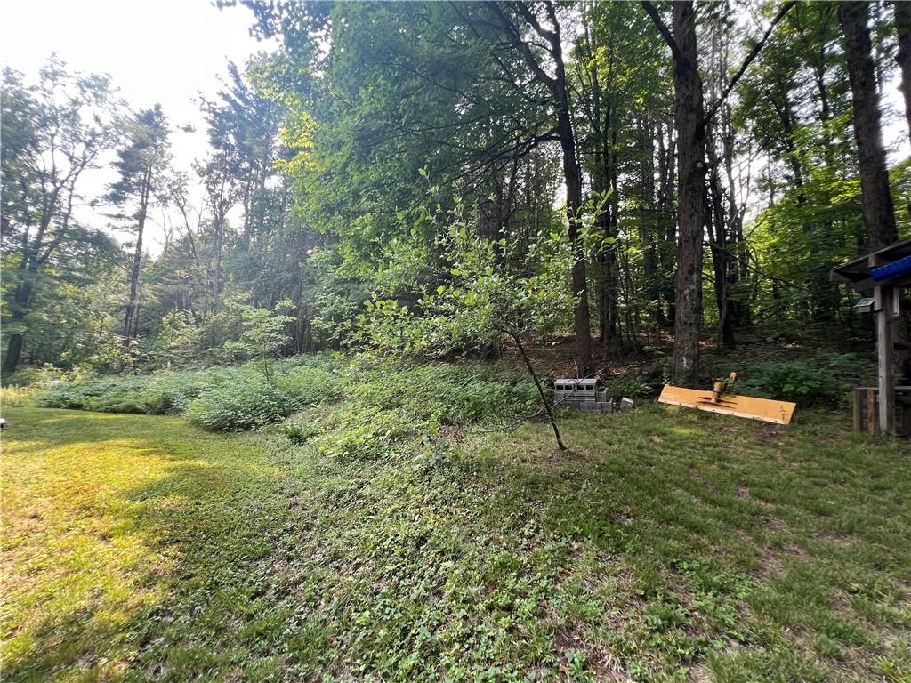 215 Opperman Road Butternuts, NY 13843 - Photo 34 of 40 Gallery Image 34