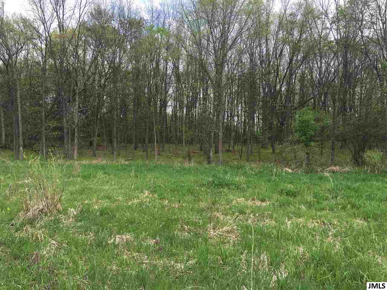 0 Preston Road Horton, MI 49246 - Photo 1 of 1 Photo 1