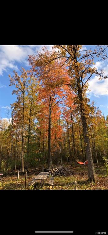 0 North 11 Mile Rd Mount Pinconning, MI 48650 - Photo 10 of 13