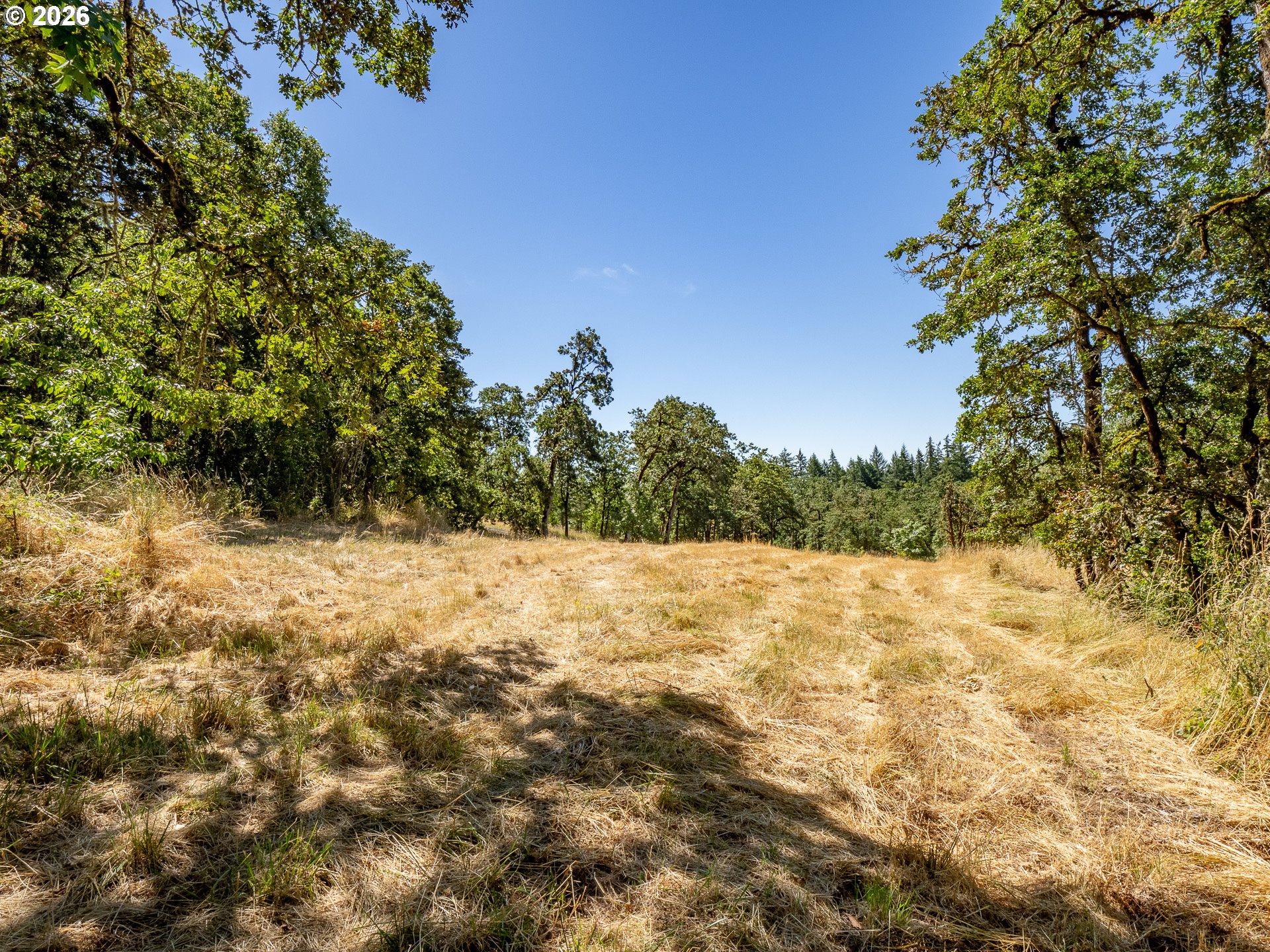 34175 Northeast Wilsonville Road Newberg, OR 97132 - Photo 36 of 46