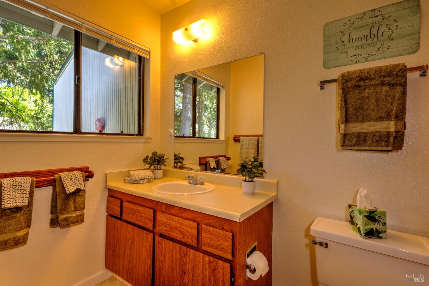 539 Norlee Street Sebastopol, CA 95472 - Photo 16 of 26 Upstairs master bath with window to back wooded common area