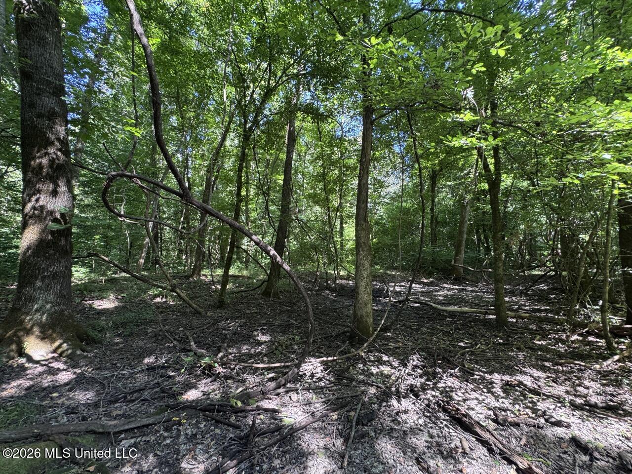 Pam Road Aimwell, LA 71401 - Photo 29 of 38 IMG_3872 Large